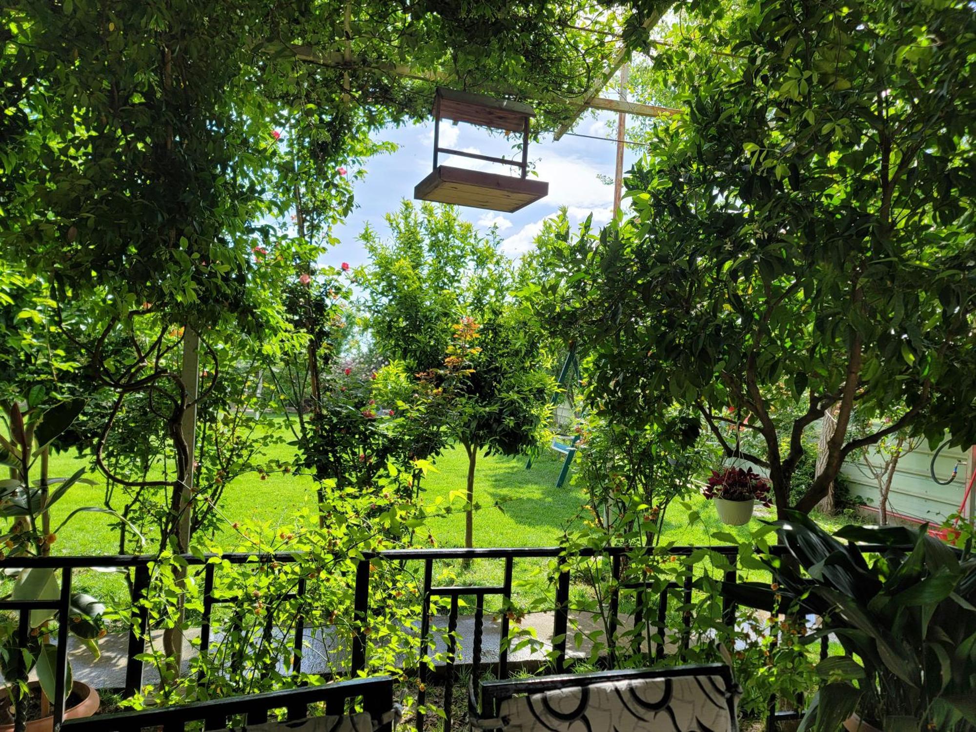 Room With Private Garden Shkoder Exterior photo